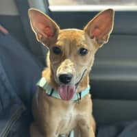 Photo of Lexi