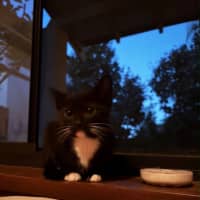 Photo of Twilight