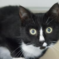 Photo of Marceline