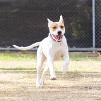 Photo of Marnie