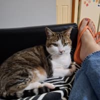 Photo of Little Girl