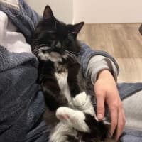 Photo of Albert