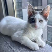 Photo of Maple & Misty 