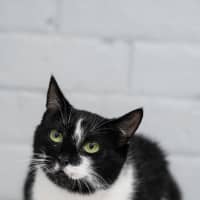 Photo of Morticia