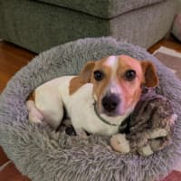 Photo of Chip Douglas