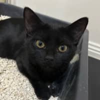 Photo of Monty