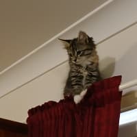 Photo of Clymbeth