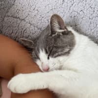 Photo of Alice