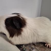 Photo of Mr Squiggles 