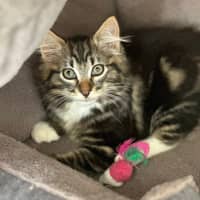 Photo of Edmond