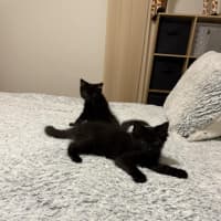 Photo of Minnie & Mickey