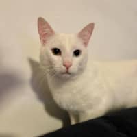 Photo of Blizzard
