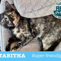 Photo of Tabitha