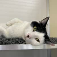 Photo of 🎠 Clancy 5624 🎠