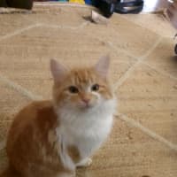 Photo of Hissy Miggins