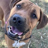 Photo of Big Boy