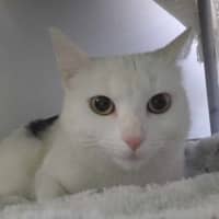 Photo of Queen Elinor 