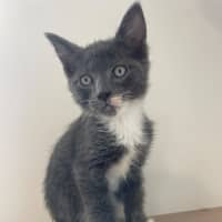 Photo of C1577 Frodo