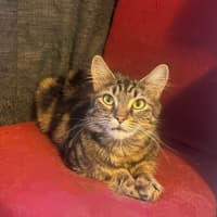Photo of Sylvie