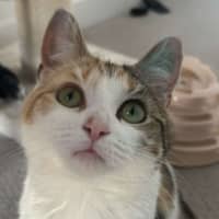 Photo of Nami