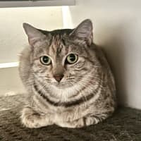 Photo of Novella