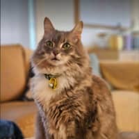 Photo of Klaus