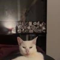 Photo of Hannah