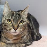 Photo of Meredith