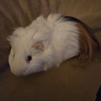 Photo of Kayden