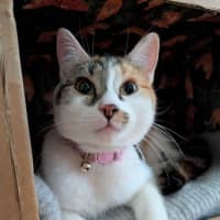 Photo of Aiko And Emiri 🌺💙