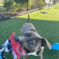 Photo of Dave Imp 678