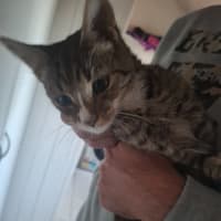 Photo of Buddy