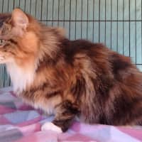 Photo of Hazel And Hannah