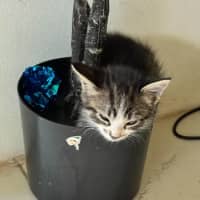 Photo of Bean
