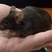 Photo of Tony