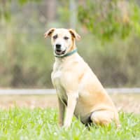 Photo of Kira