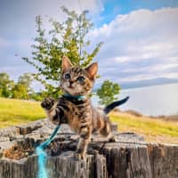 Photo of Holly Bloom