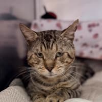 Photo of Bruce Wayne