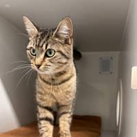 Photo of Willow