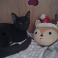 Photo of Mateo