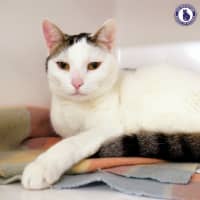 Photo of Lily Sua012871