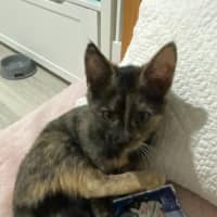Photo of Agatha