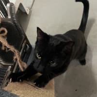 Photo of Bagel