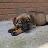 Photo of Astrid