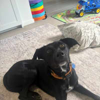 Photo of Max
