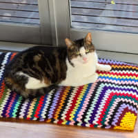 Photo of Missy & Sonny 🌺💙