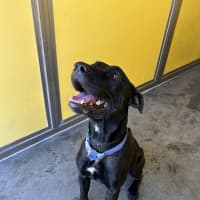 Photo of Tootsi