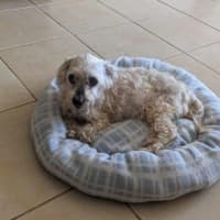 Photo of Simon Babbington