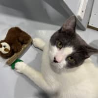 Photo of Pablo 🌟🌴