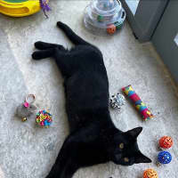 Photo of Olga
